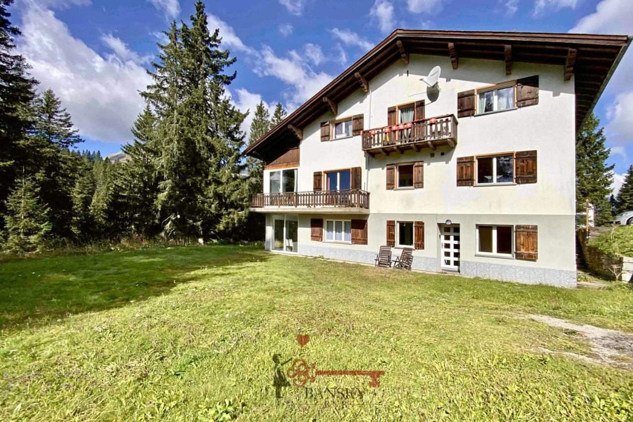 Chalet 5 Stars In San Bernardino, Ski Slopes And Hiking, Fireplace, 4 Snowtubes Free, Wi-Fi Free, For 8 Persons, Wonderful In All Seasons -By Easylife Swiss Exteriör bild