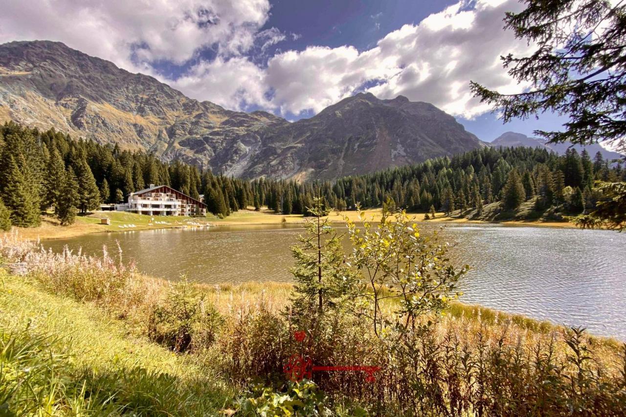 Chalet 5 Stars In San Bernardino, Ski Slopes And Hiking, Fireplace, 4 Snowtubes Free, Wi-Fi Free, For 8 Persons, Wonderful In All Seasons -By Easylife Swiss Exteriör bild